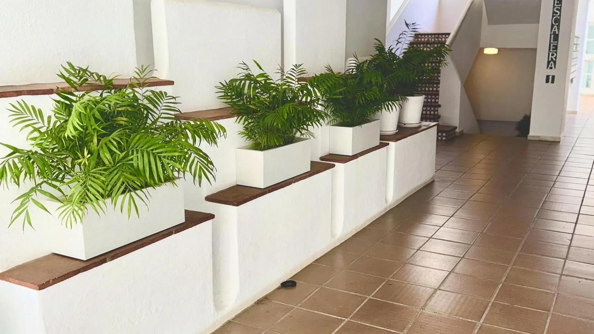 Apartamento En Puerto Banus Jardines Tropicales1 マルベーリャ 0*,